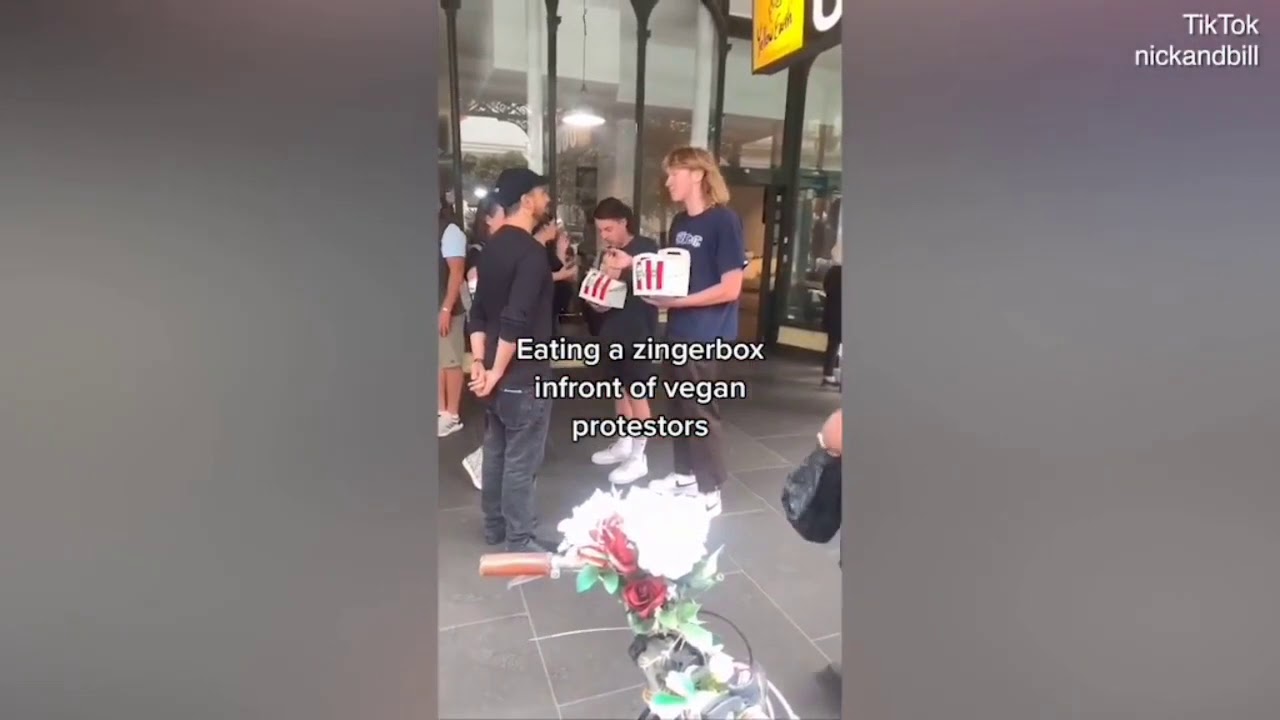 Eating KFC Zingerbox in front of Vegan Protestors in Australia