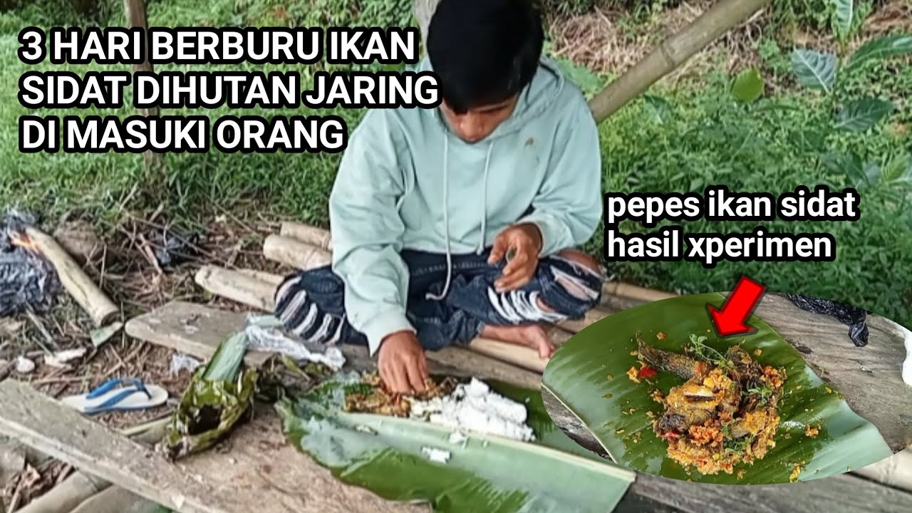 Berburu ikan sidat di hutan yang jarang di masuki orang dan xperimen pepes ikan sidat