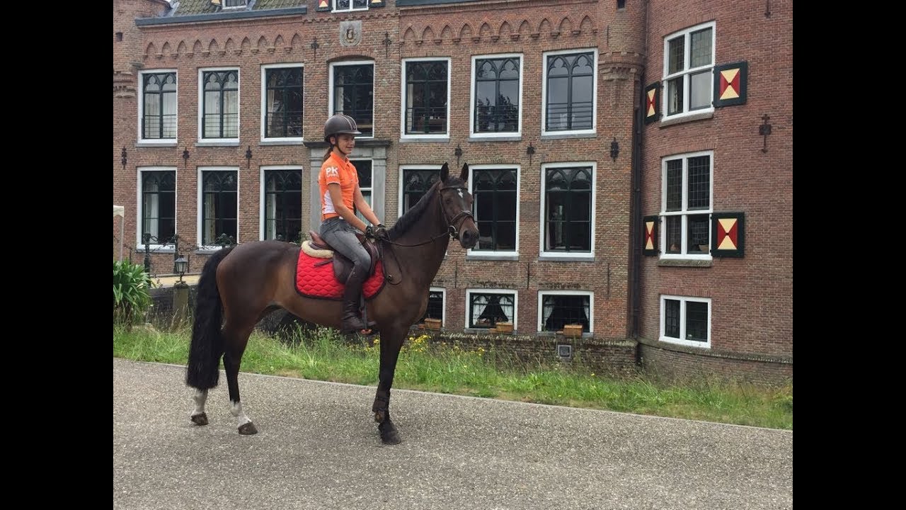 Eventing Maarsbergen ✰ Vlog 4 ✰