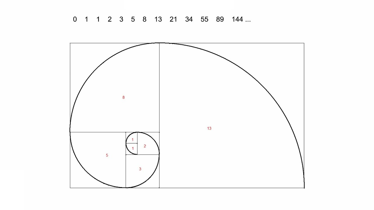 Espiral de Fibonacci (Sucesión de Fibonacci)