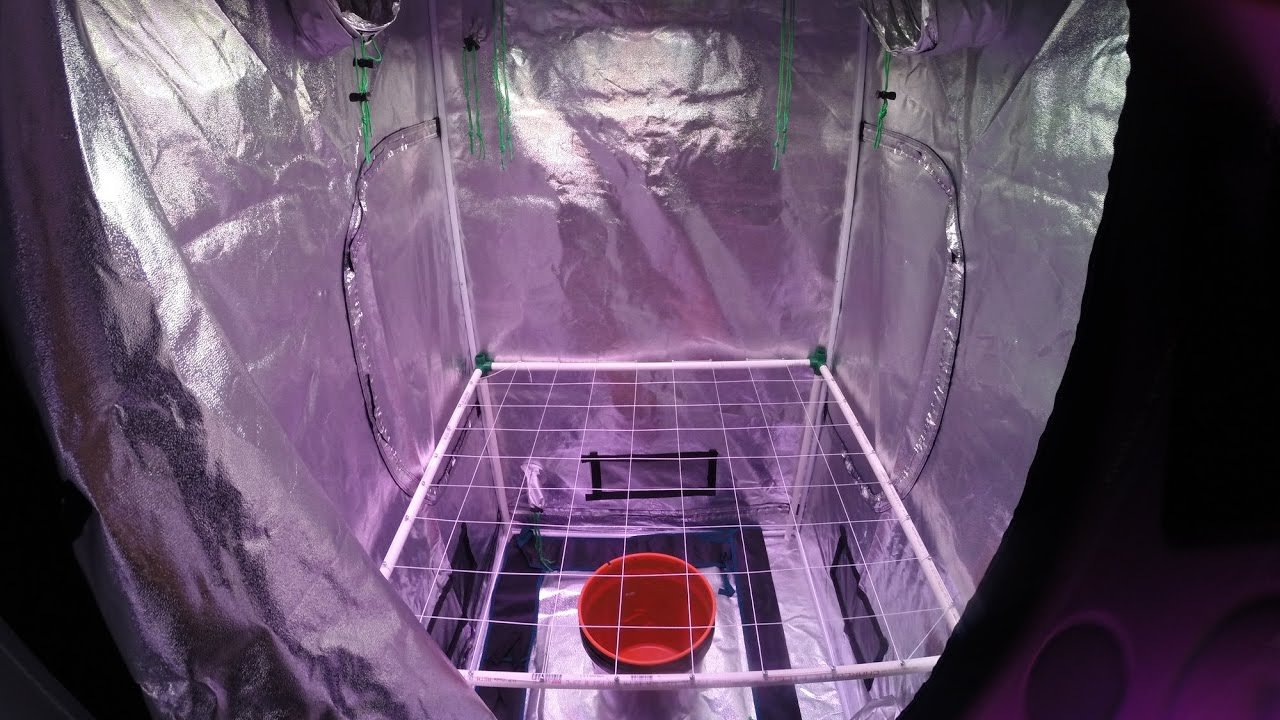 DWC Flowering room setup