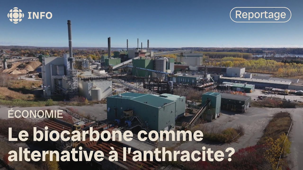 Une alternative issue du bois pour l'industrie m&eacute;tallurgique