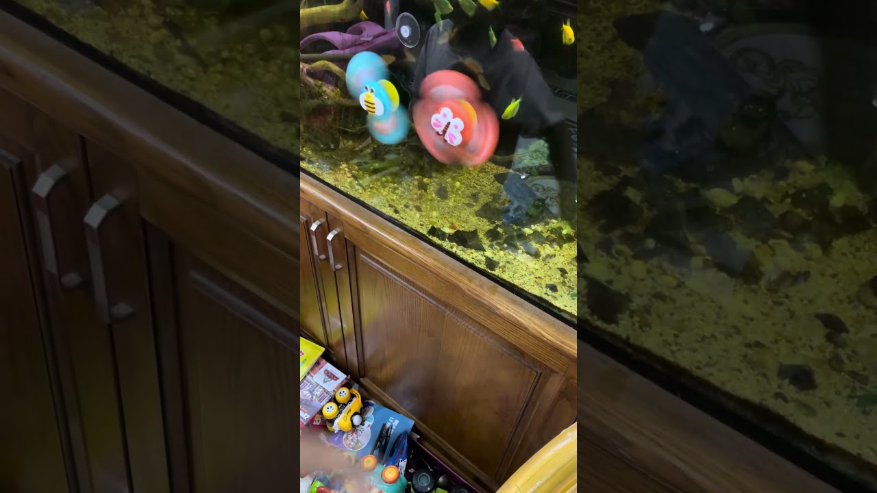 Baby playing with a top stuck on a cute fish tank, colorful top
