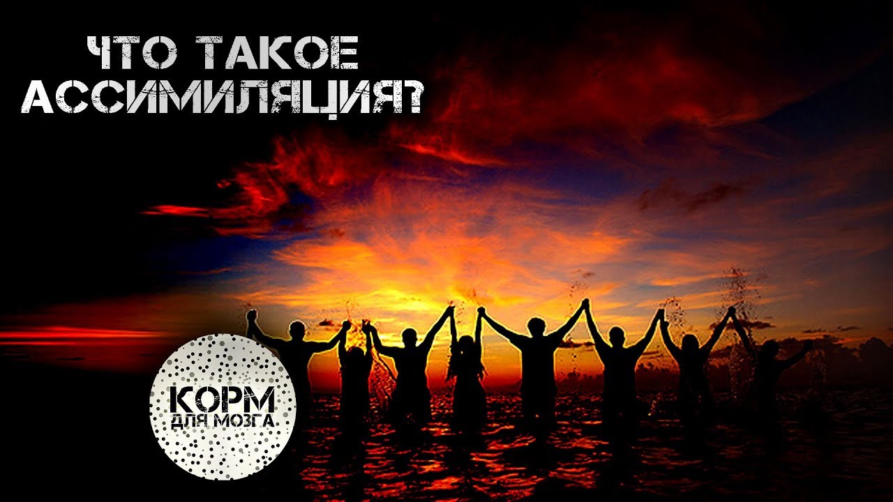 Что такое Ассимиляция?