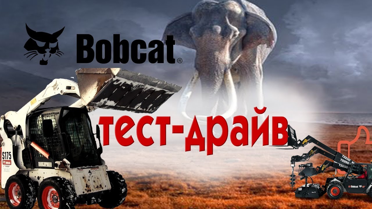Способный малыш. Тест-драйв BobCat S175/ Спецтехника.