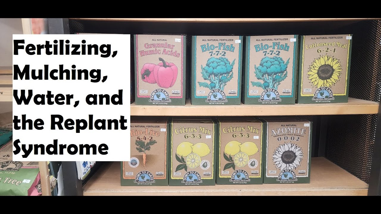 Fertilizing, Mulching, Water, and the Replant Syndrome