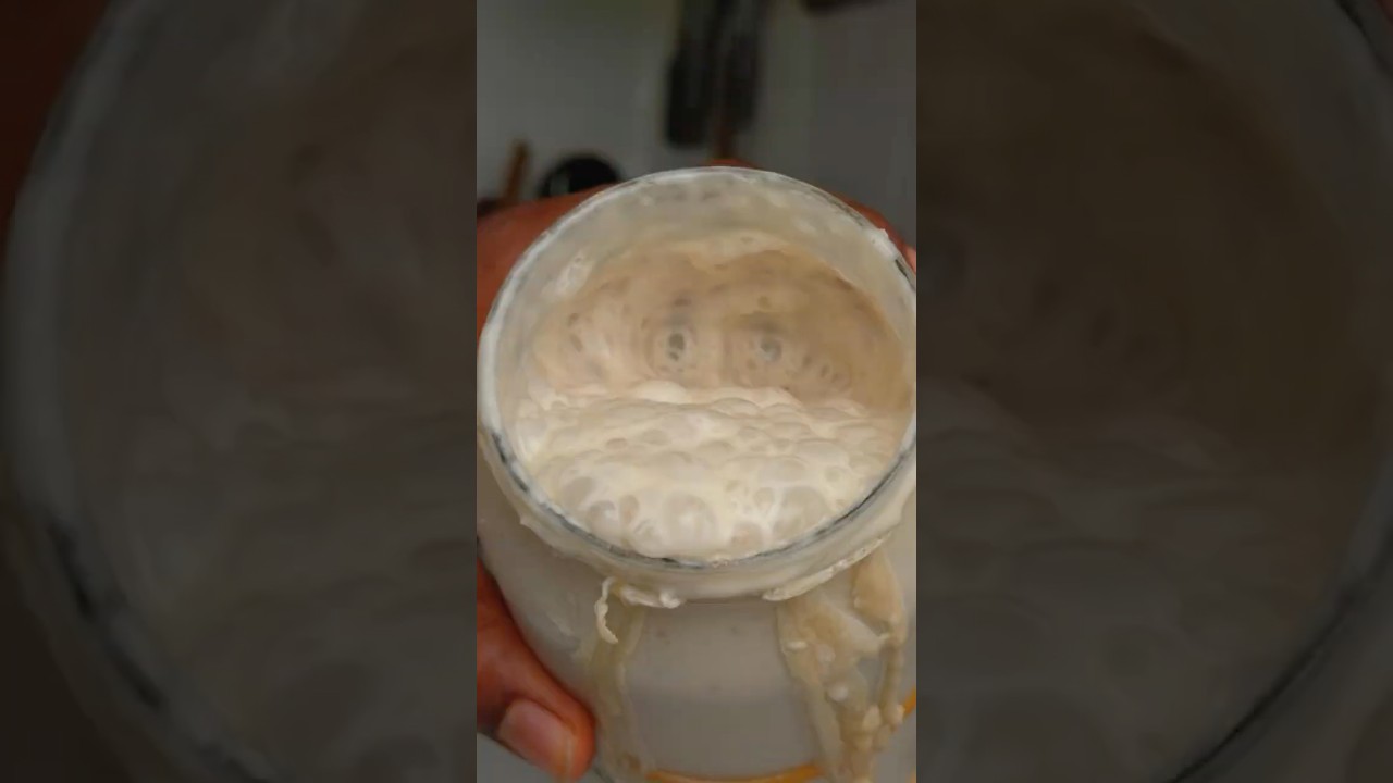 How to make sourdough starter in a HOT climate weather #sourdoughbread #sourdoughstarter #sourdough