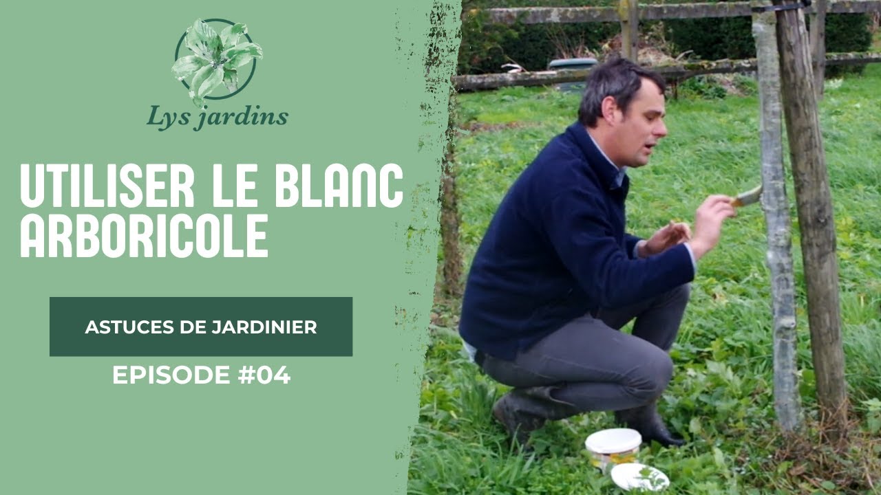 Utiliser le blanc arboricole ou blanc horticole
