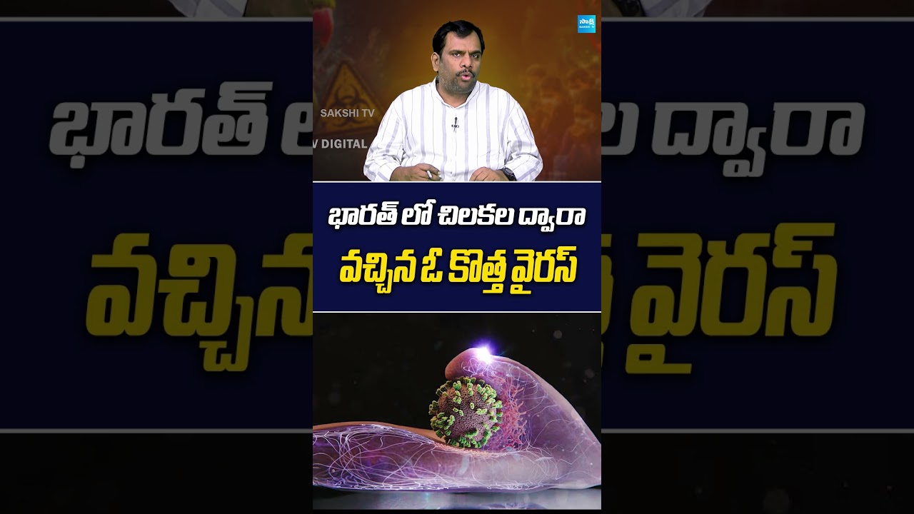 Deadly Parrot Virus Reaches India? | PaBV-4 Bird Virus Explained | Silent Killer of Pet Parrots!