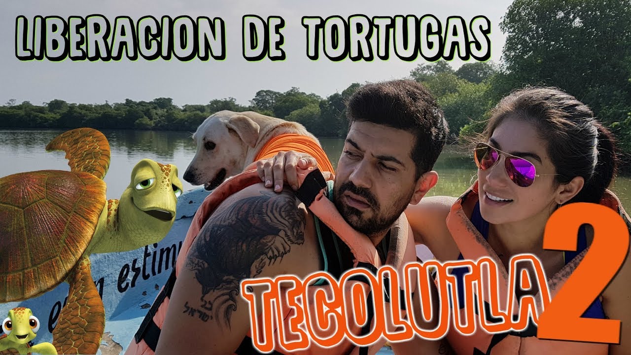 Liberando tortugas y en los manglares!!! TECOLUTLA..