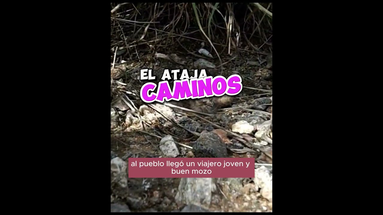 EL ATAJA CAMINOS