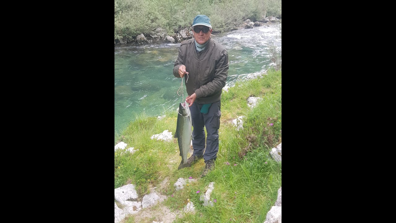 Salmón Pescado en el Coto de Niserias, en el Río Cares, en Asturias Paraíso Natural.