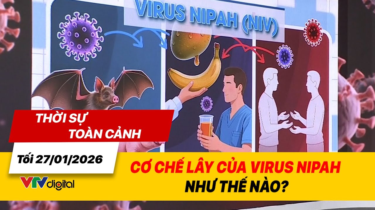 Thời sự toàn cảnh tối 27/01: Cơ chế lây của virus Nipah như thế nào? |VTV24