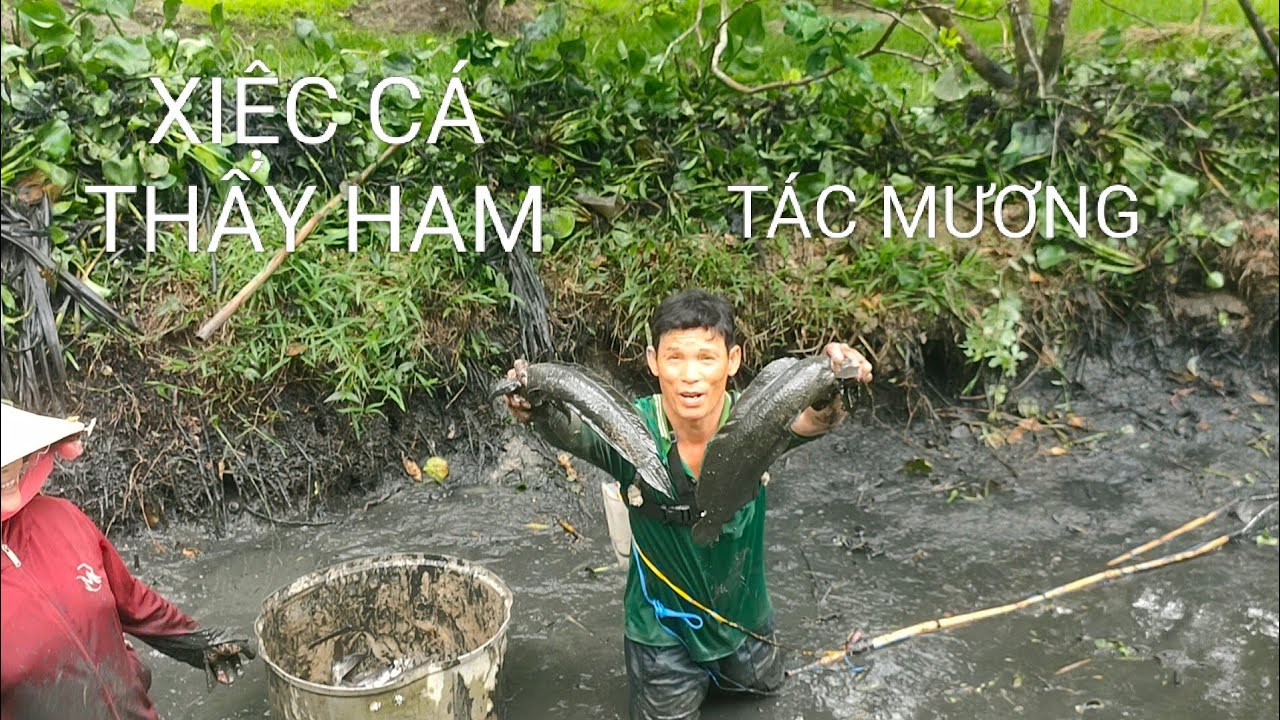 SĂN BẮT MƯƠNG NHÀ TOÁN HÀNG BỰ@