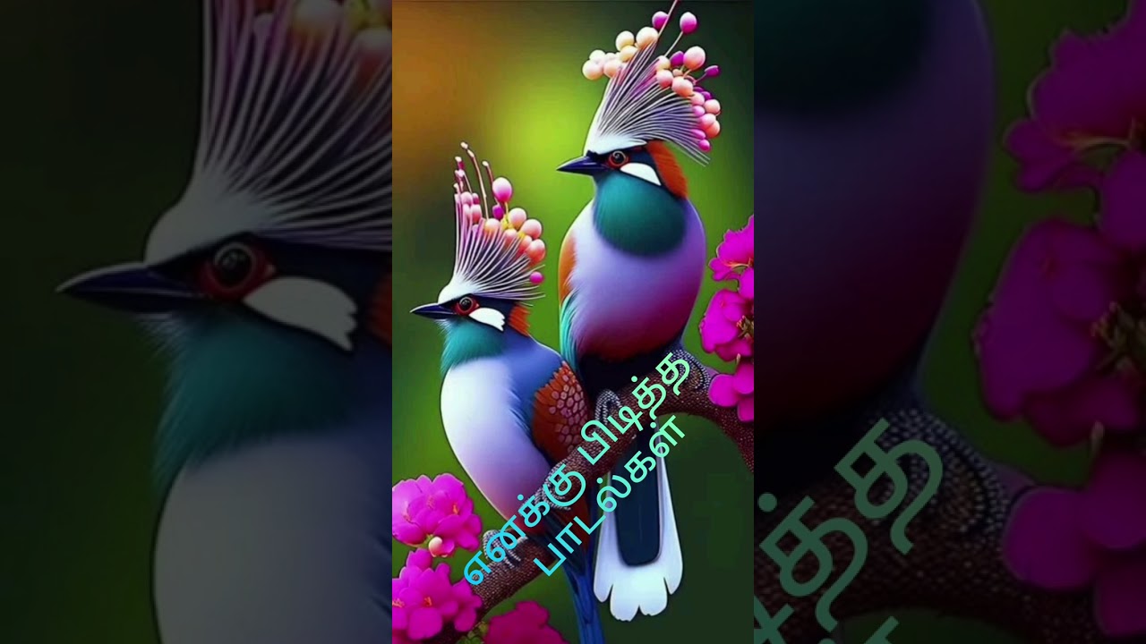 எனக்கு பிடித்த பாடல்.      subscribe  like share and comment