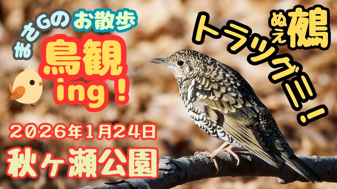 2026年1月24日 秋ヶ瀬公園