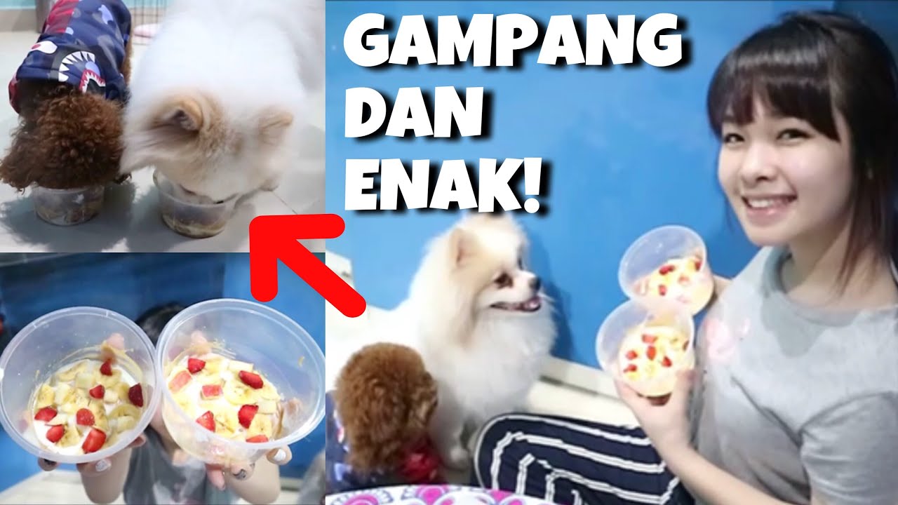 Salad Buah TERMUDAH dan AMAN buat ANJING