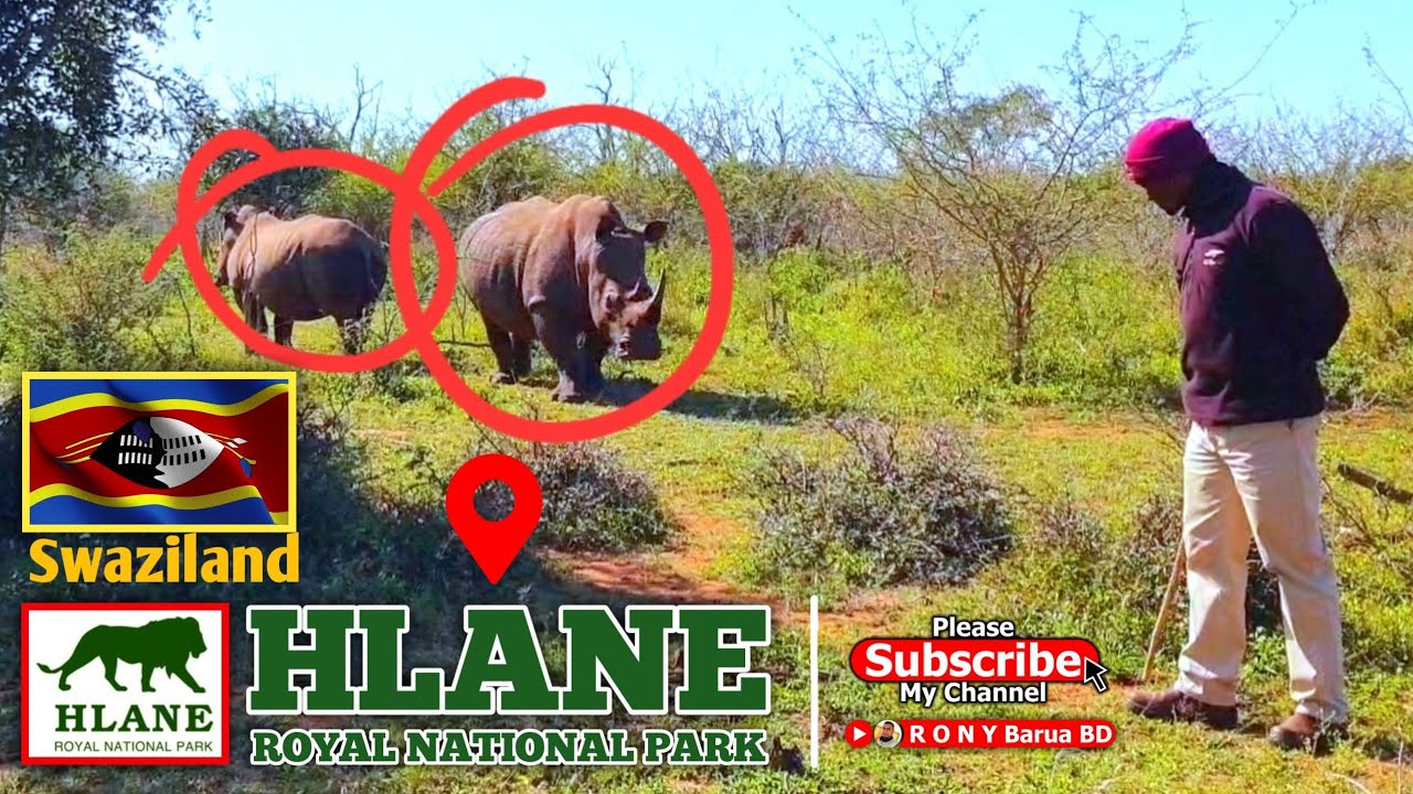 Hlane Royal National Park in Swaziland | Hlane Park | Royal National Park | Swaziland National Park
