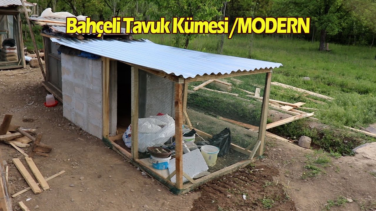 Bahçeli Tavuk Kümesi Yapmak
