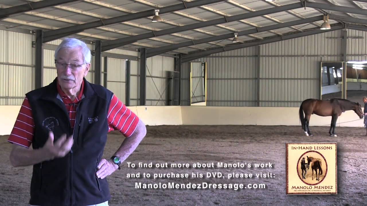 Kerry Ridgway, DVM reviews Manolo Mendez's In-Hand DVD