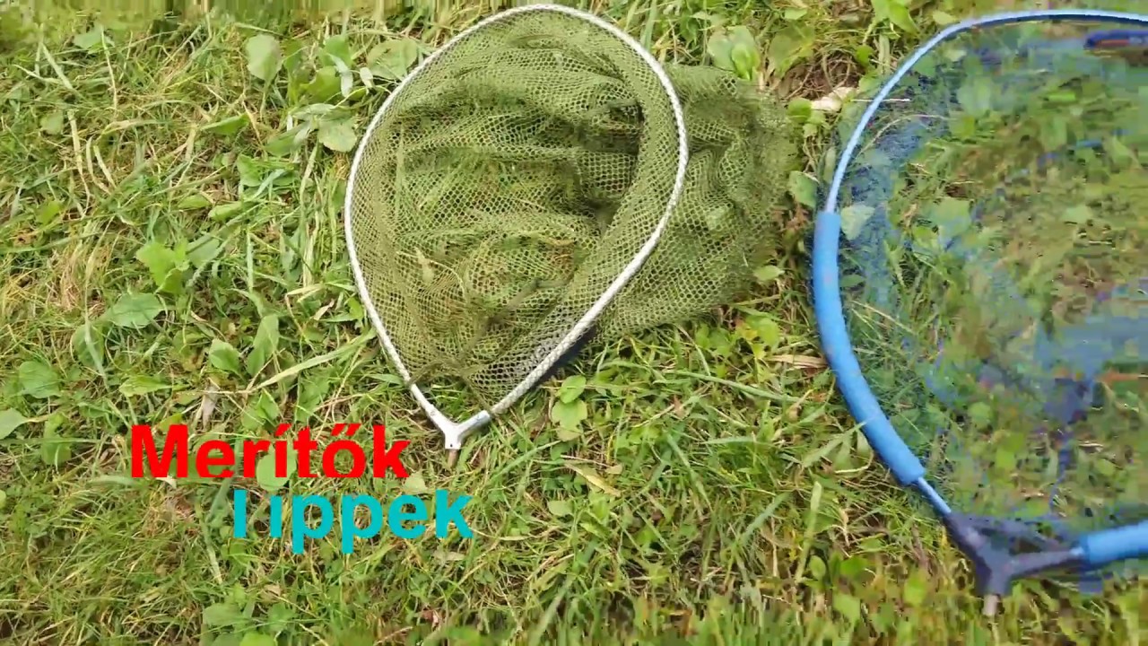 Meritőfej teszt-Retro Carp Team