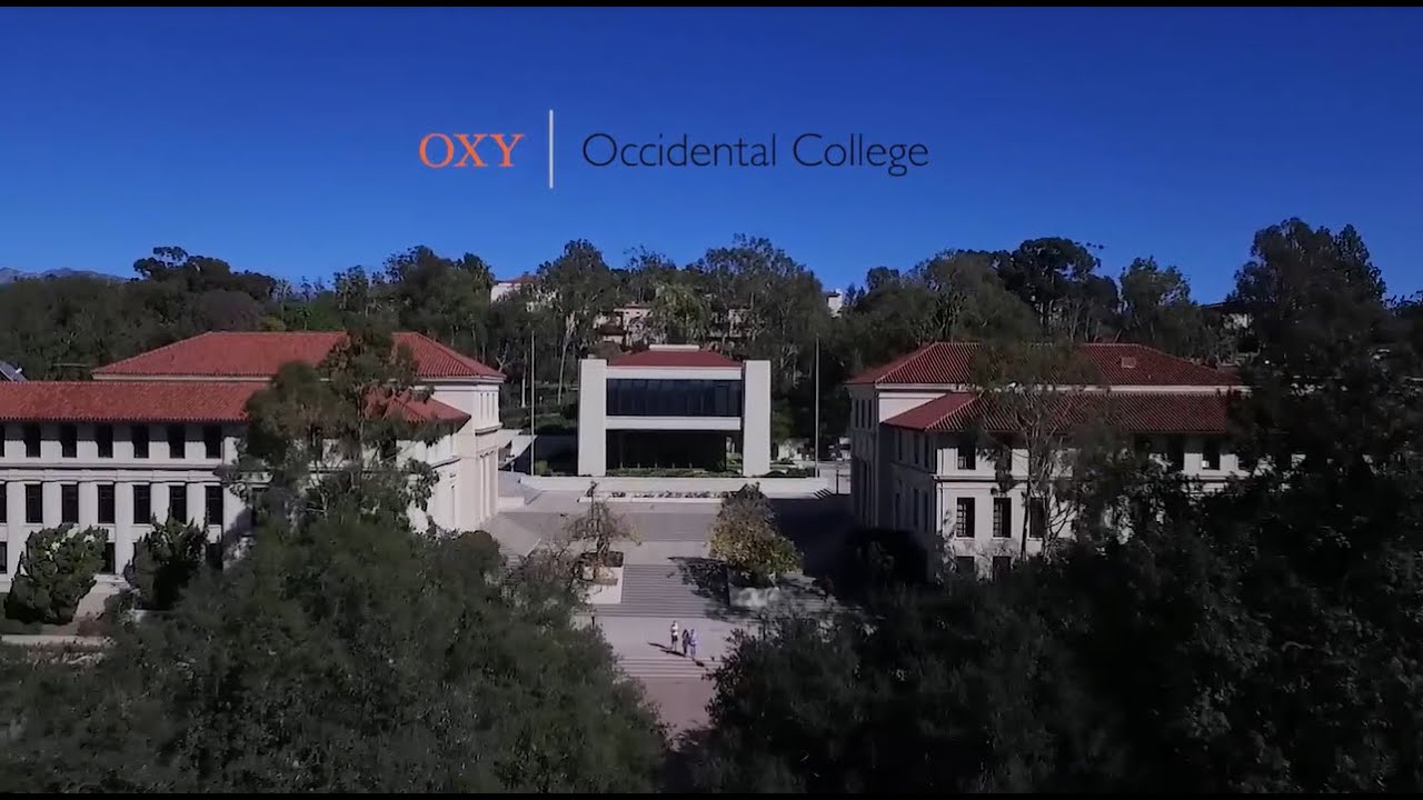 My Oxy Experience