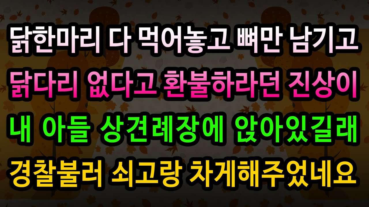 [실화사연] 상견례장에서 만난 진상들의 충격적인 정체 / 유튜브드라마/ 사연낭독