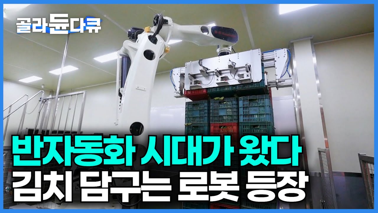 이제 김치도 로봇이 담구는 시대가 왔다. 반자동화 시스템 갖춘 김치 공장 찾아가봤더니｜Korea Kimchi Factory｜극한직업｜#골라듄다큐