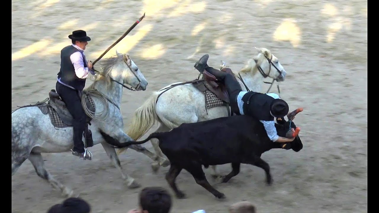 BELLEGARDE OLYMPIADES + BANDIDO 26.10.2019