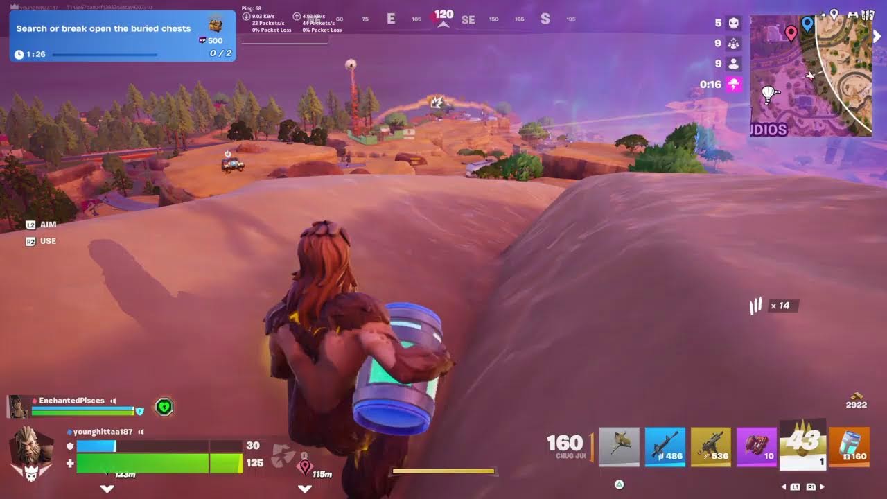 Fortnite gameplay