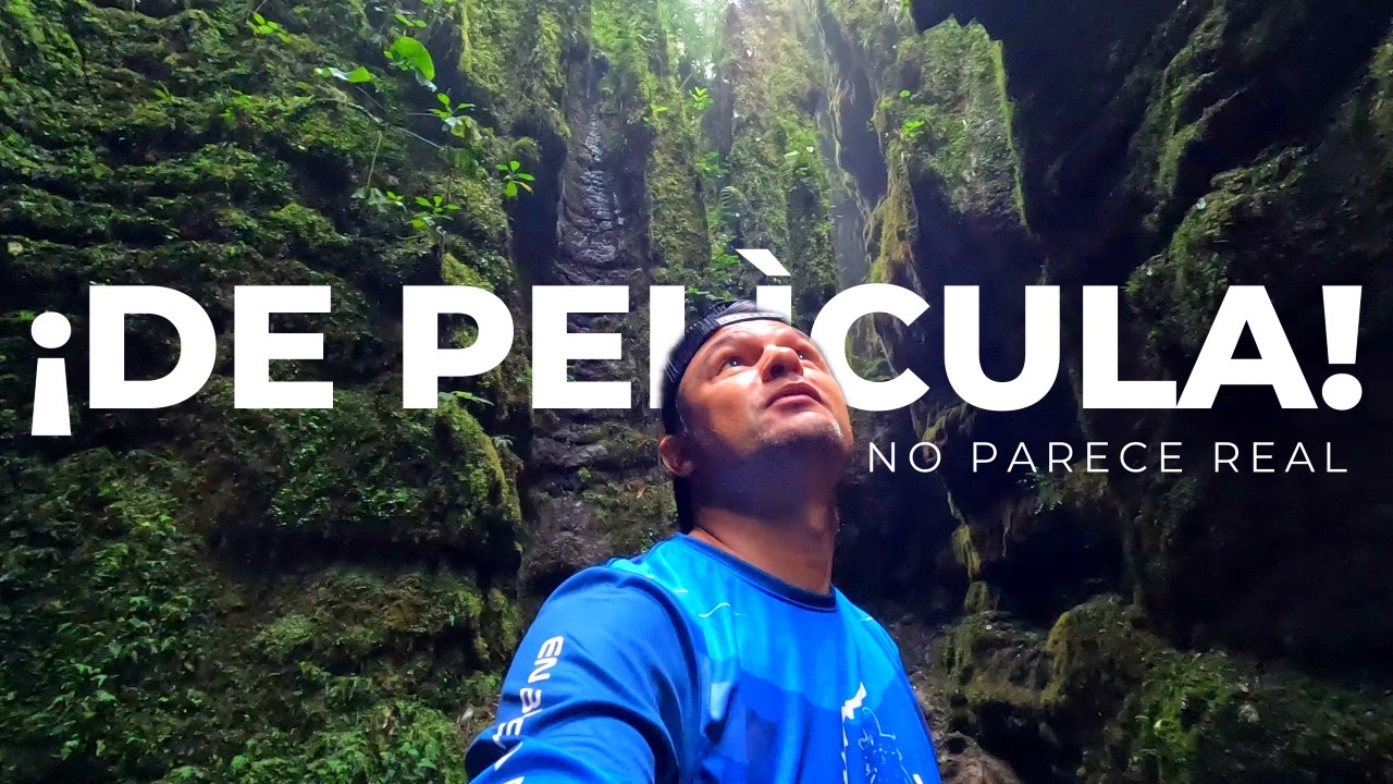 Bosques de Pandora (todo lo que debes saber )