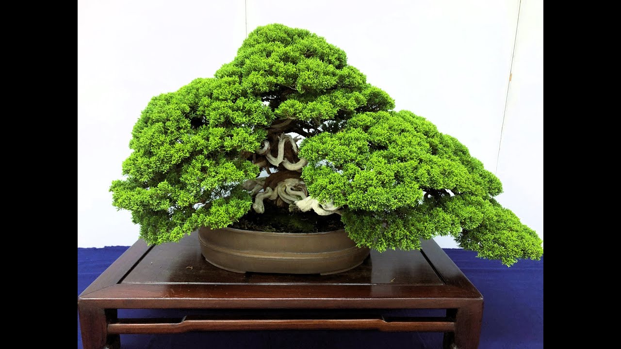 28th Tokyo Exhibition 2023 at the UGC ・第28回東京展　上野グリンクラブ