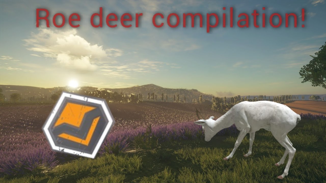 Roe deer Compilation Thehunter cotw