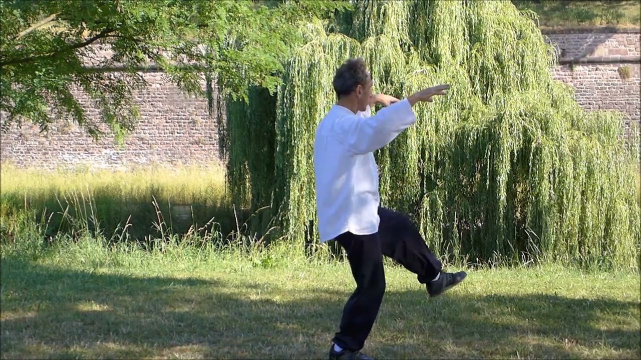La Tortue de Wudang dans ses 3 mouvements ou déplacements.
