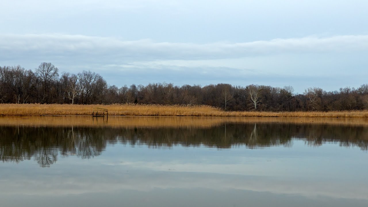 Quiet Winter Canal Ambience – Calm Water, Distant Boats & Bird Sounds