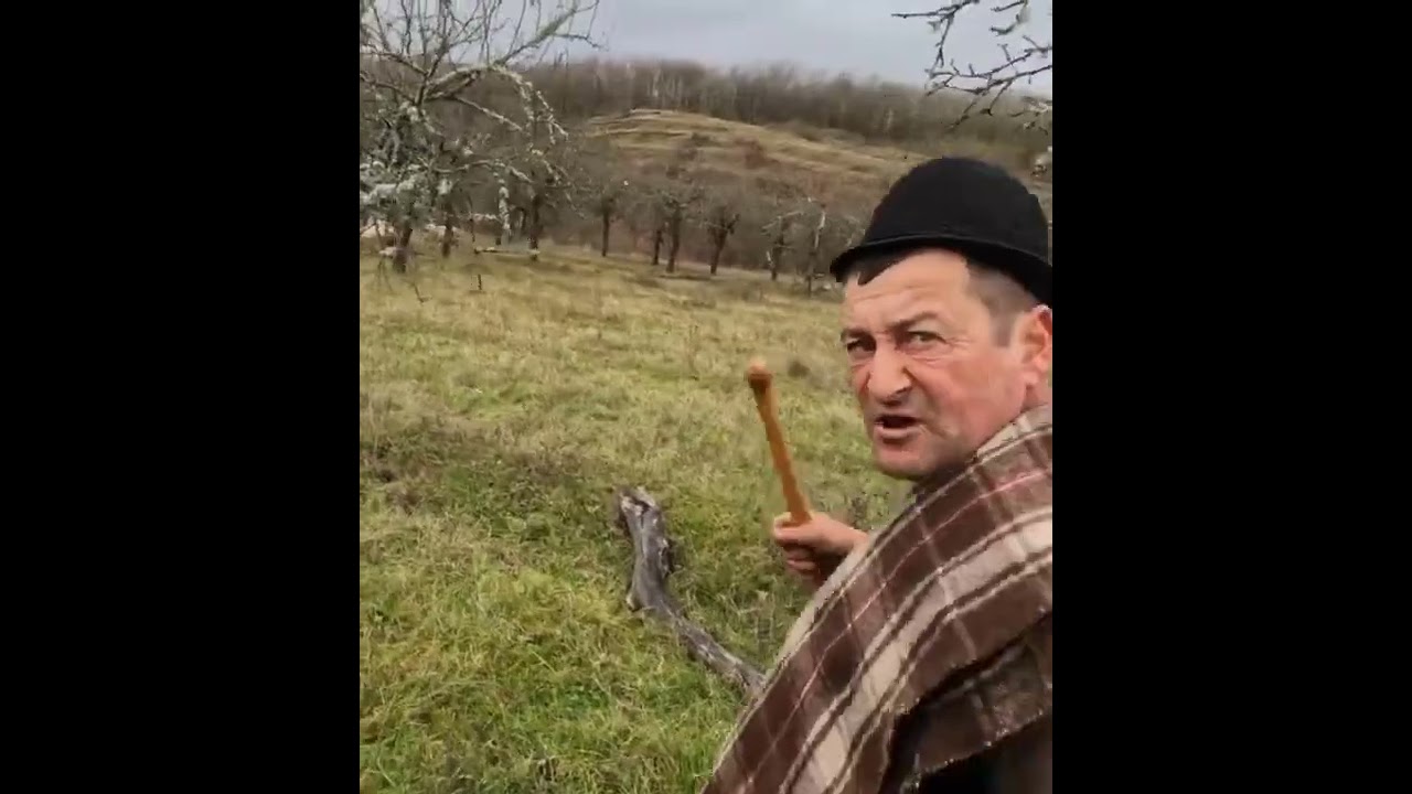 Baciul Florea