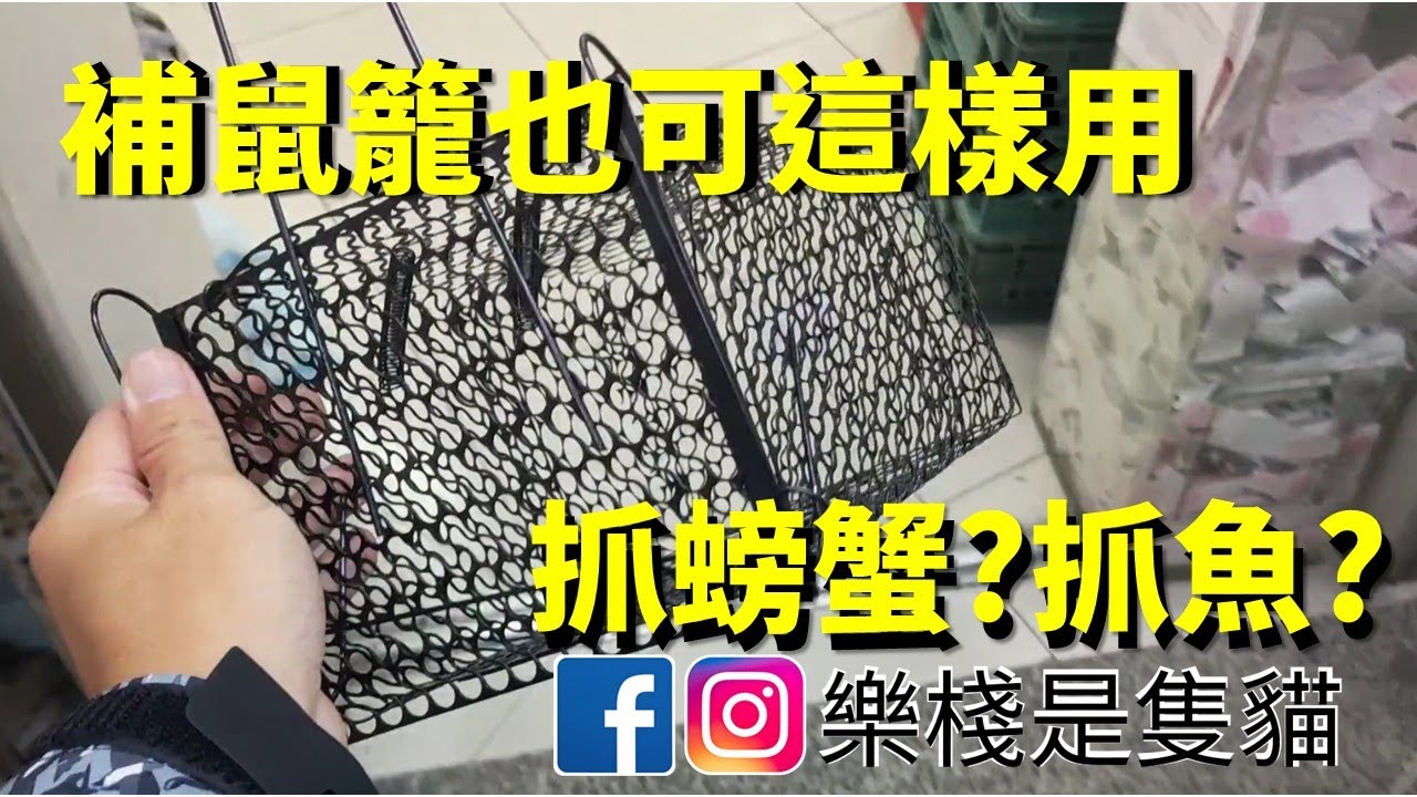 補鼠籠也可以這樣用~抓螃蟹?抓魚? (初體驗)