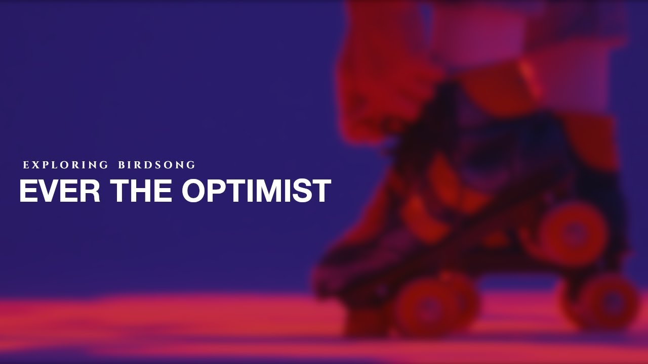 Exploring Birdsong - Ever The Optimist (Official Video)