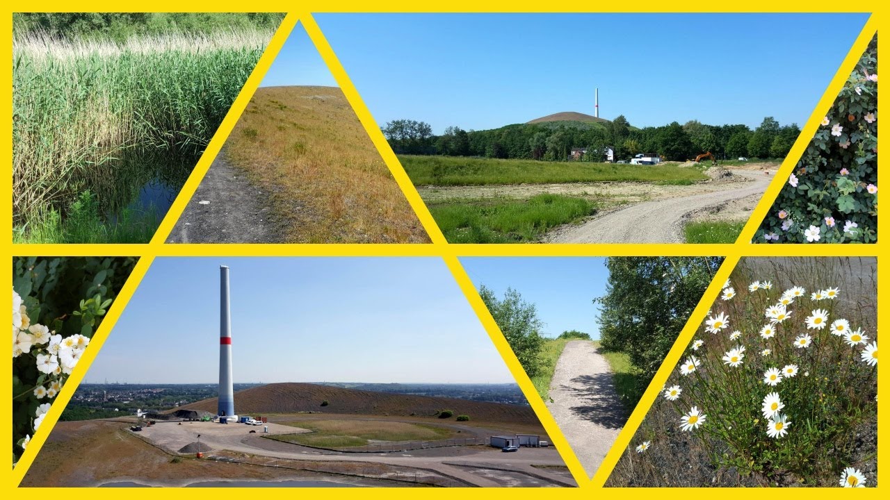 #144 - Mottbruchhalde (Gladbeck-Brauck)