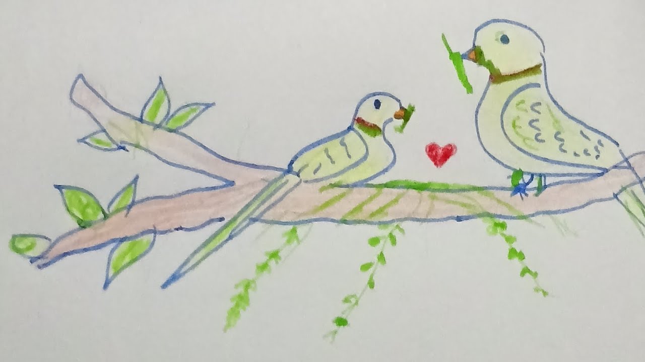Parrot 🦜 Bali seenri banan sikhhe