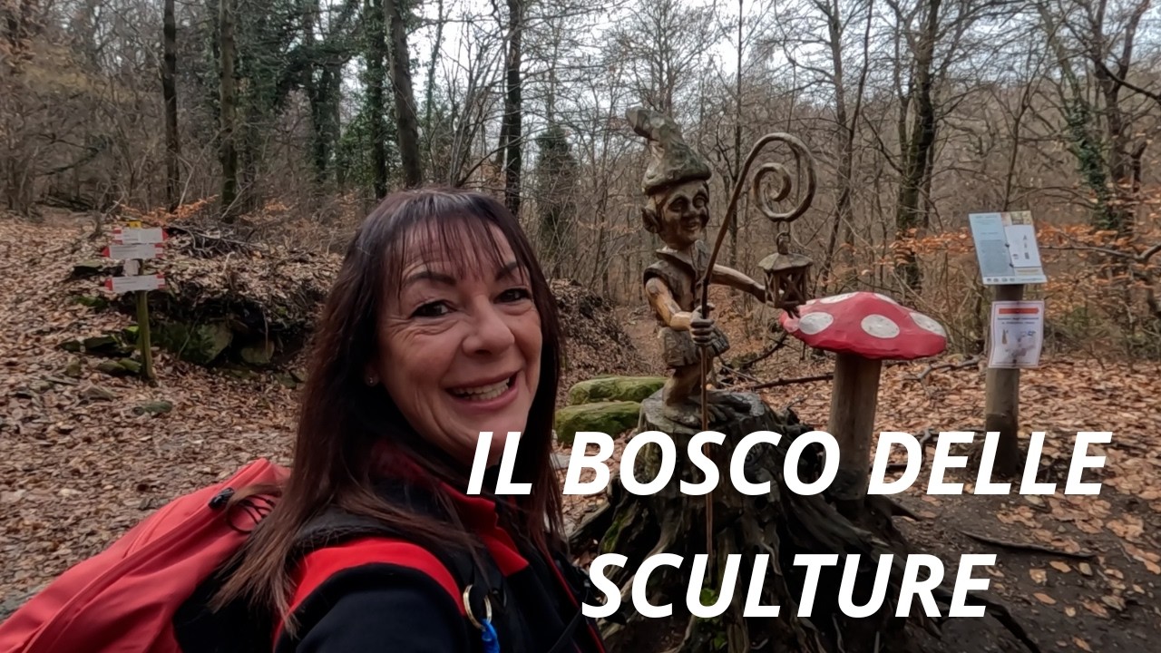 Questa passeggiata nel bosco ti sorprenderà!