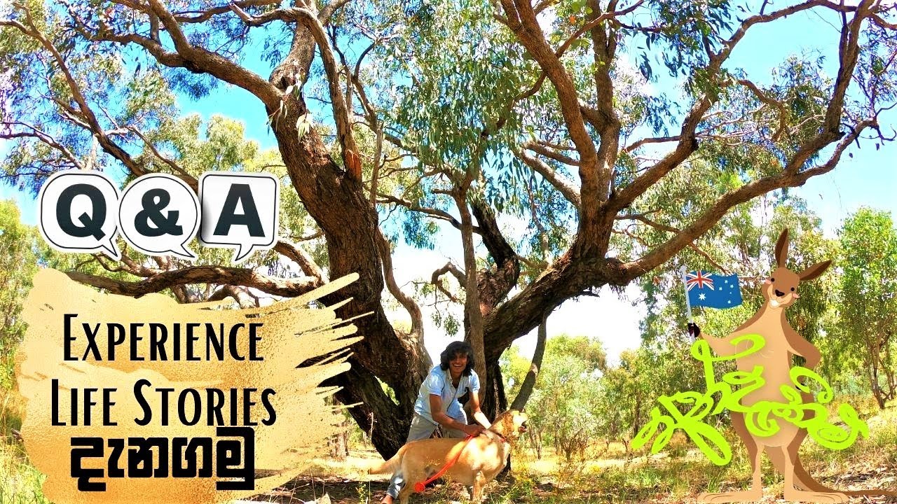 Australia Student Sinhala | පිට රට අත්දැකීම් | HELLO SRI LANKA
