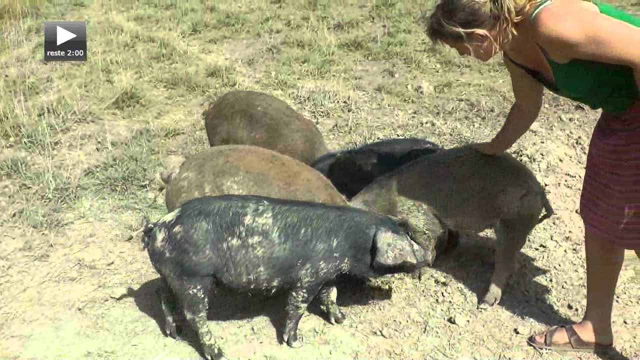 les enfants de Barjac mangent Bio &agrave; l'&eacute;cole - Gard