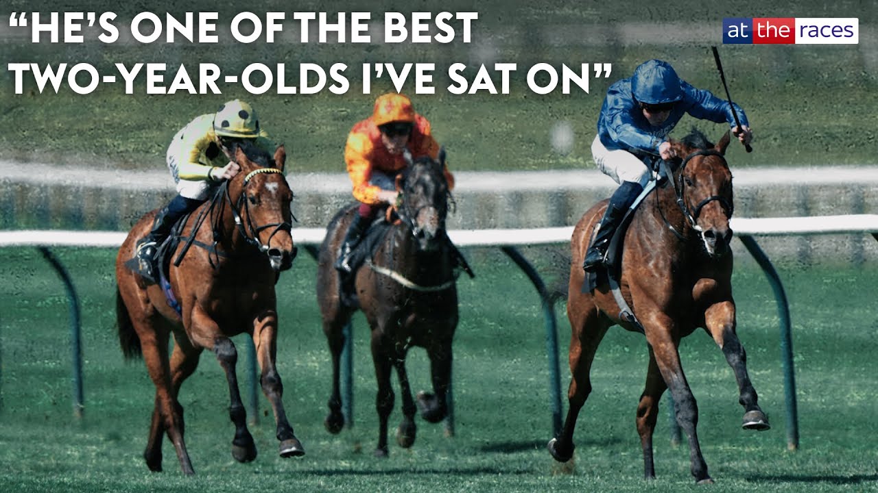 Small yard with a big ROYAL ASCOT dream! Exclamation flying the flag for Grace Harris!