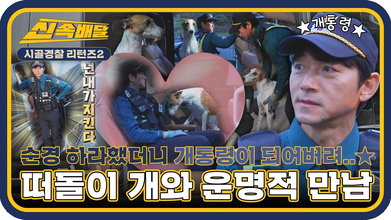 남일의 손길에 온순해지는 떠돌이 개🐶 김남일, 시골경찰의 개통령으로 등극하다?! l #시골경찰신속배달 l #시골경찰리턴즈2 l #MBCevery1 l EP.11