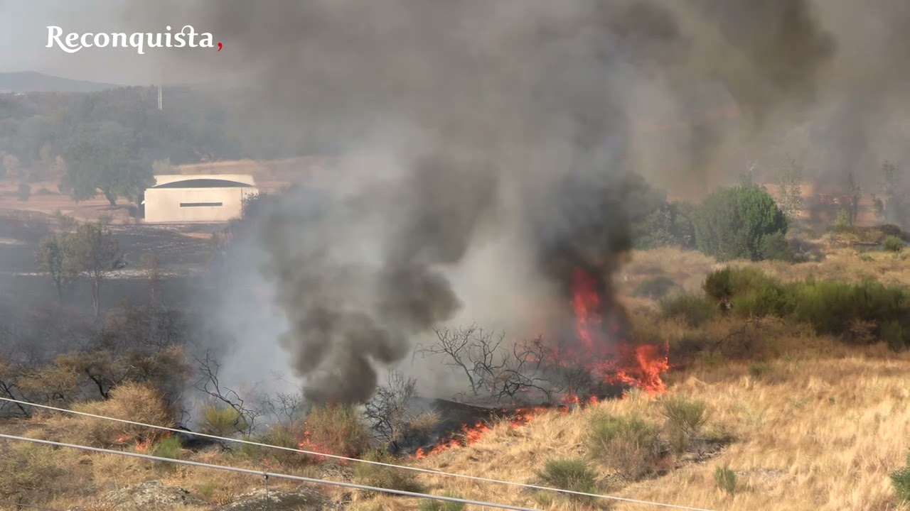 Castelo Branco: Passagem de comboio provoca vários focos de incêndio
