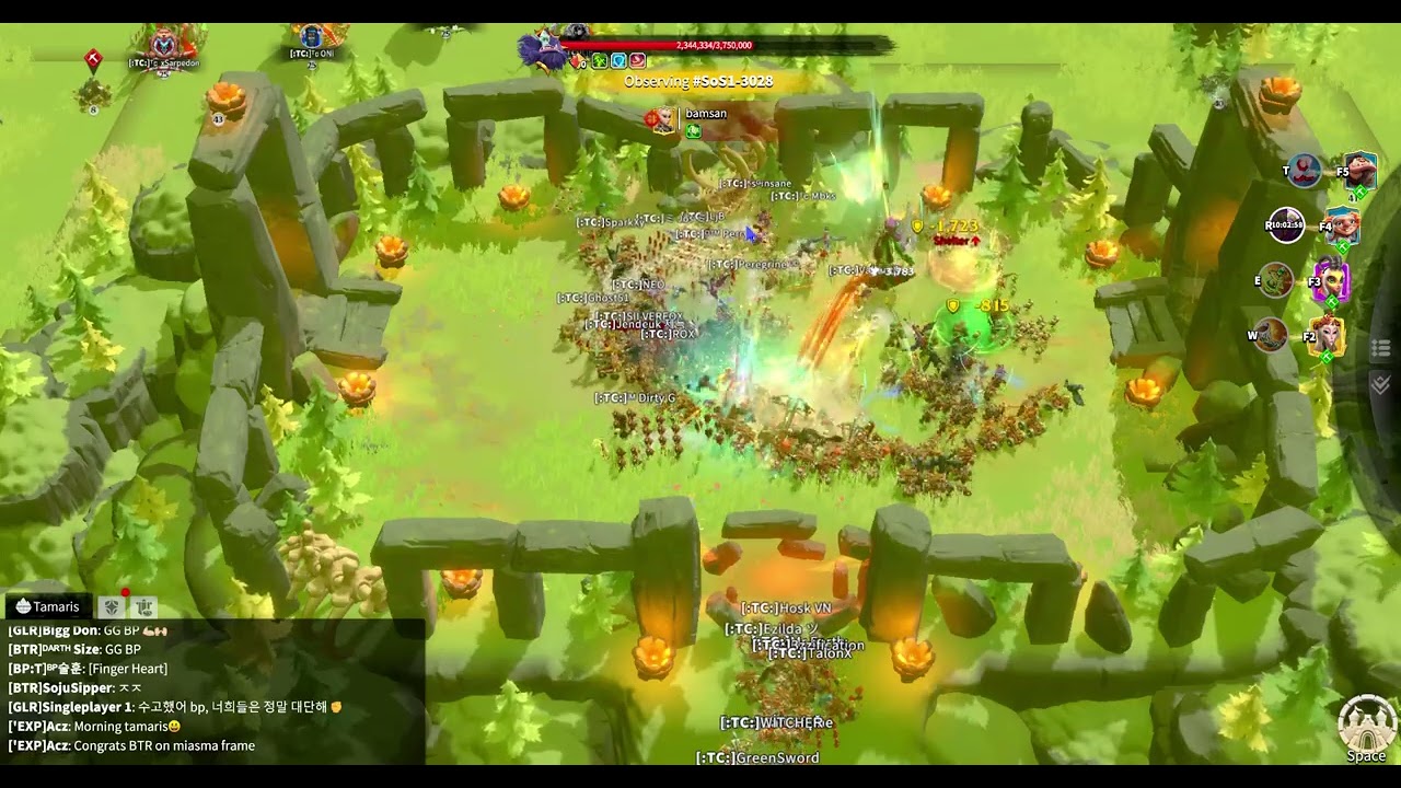 KD206 - TC / Elite Miasma Giant / 2024-08-28