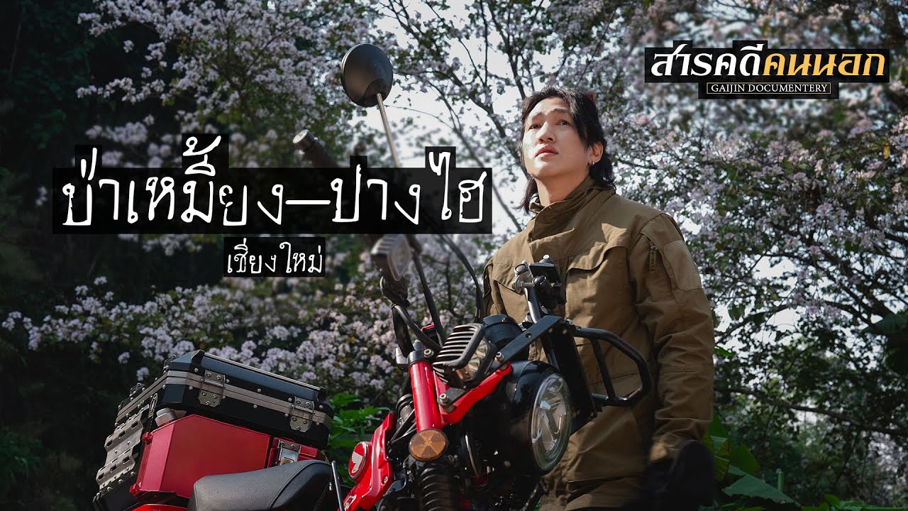 สารคดีคนนอก เทป06 บ้านป่าเหมี้ยง-ปางไฮ