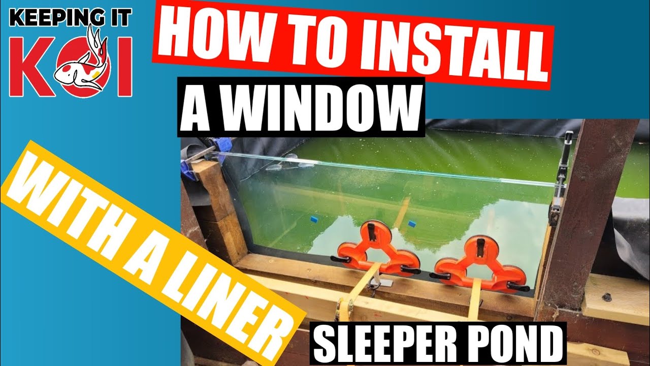 How to Fit a Window in a Sleeper Pond 👍🏻 (Part 40) Sleeper Pond with Window Build