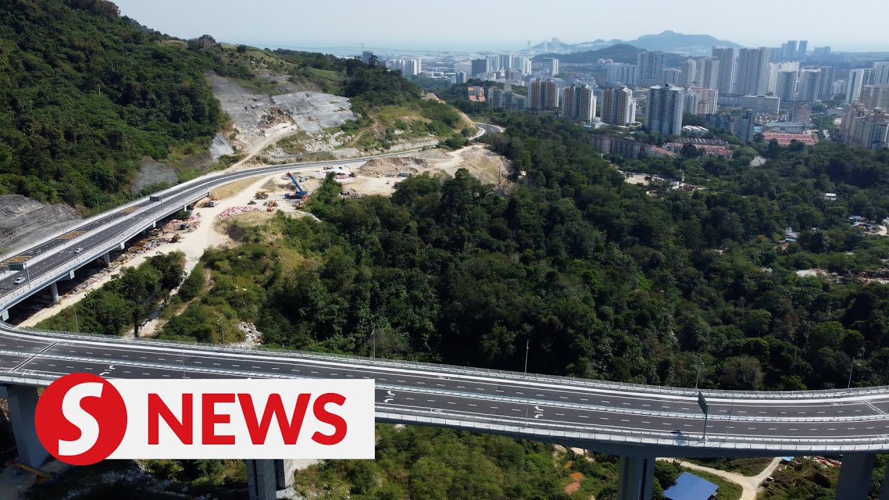 &lsquo;Peninsula to lose forested area nearly the size of Singapore&rsquo;